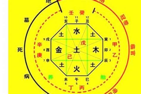 命卦查询|生辰八字算命、五行喜用神查询（免费测算）